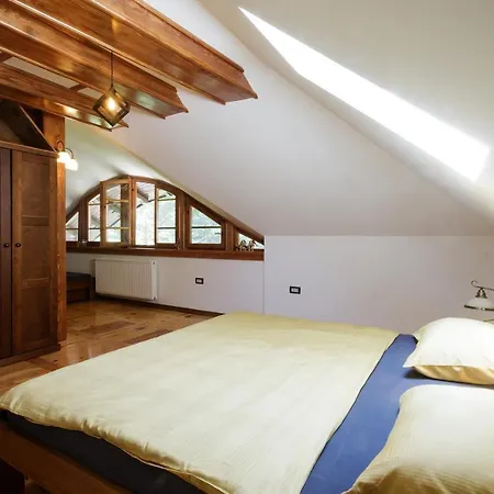 Mountain Udovicic Villa Zlatibor