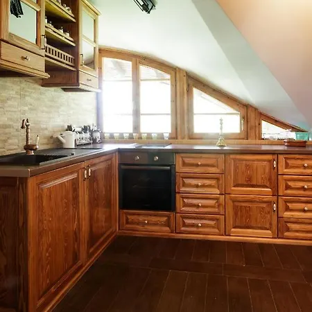 Villa Mountain Udovicic Zlatibor